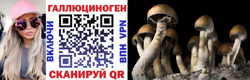 Псилоцибиновые грибы мухоморы Магадан