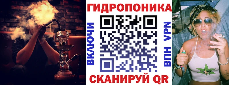 дарк нет официальный сайт Магадан Шишки марихуана THC 21% где продают наркотики